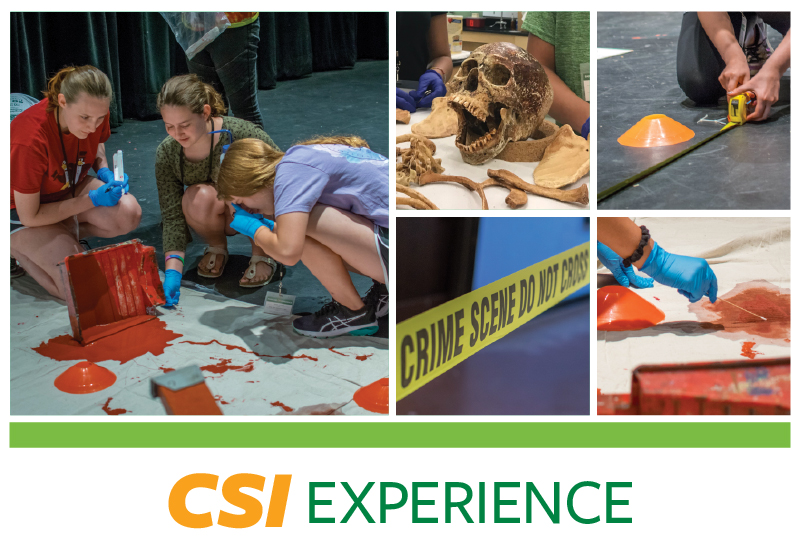 CSI Experience